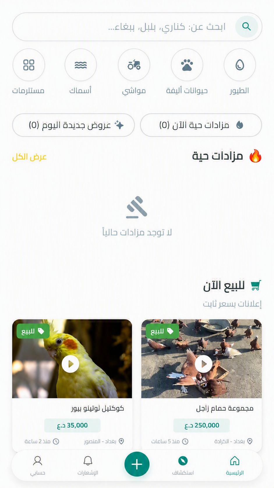 الشاشة الرئيسية لتطبيق سوق الغزل